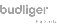 logo Budliger